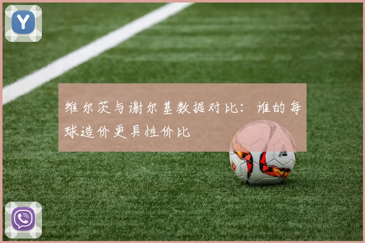 维尔茨与谢尔基数据对比：谁的每球造价更具性价比
