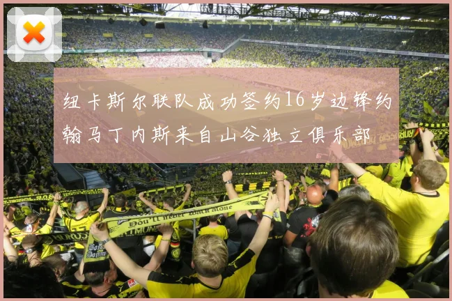 纽卡斯尔联队成功签约16岁边锋约翰马丁内斯来自山谷独立俱乐部