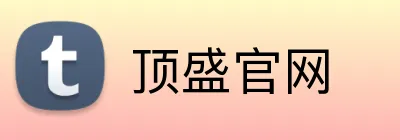 顶盛官网 logo
